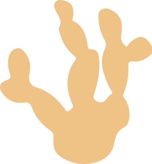 cactus graphic